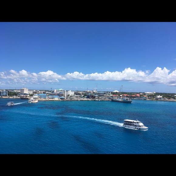 Meet your Posher, Jude - Picture 5 of 5